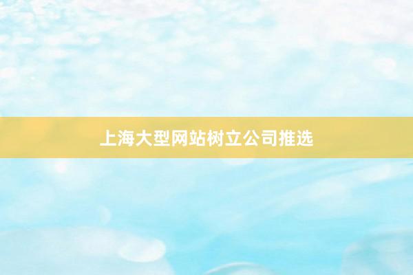 上海大型网站树立公司推选
