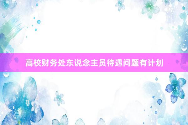 高校财务处东说念主员待遇问题有计划